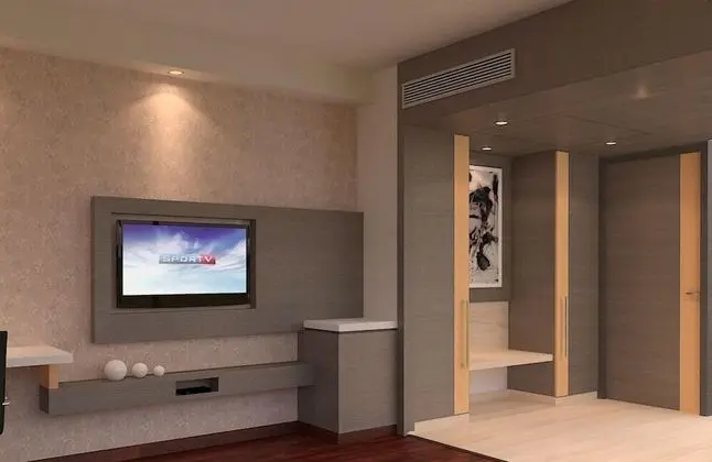 Executive Tek Kişilik Oda, 1 En Büyük (King) Boy Yatak