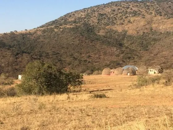 Traditional Tek Büyük Yataklı Oda