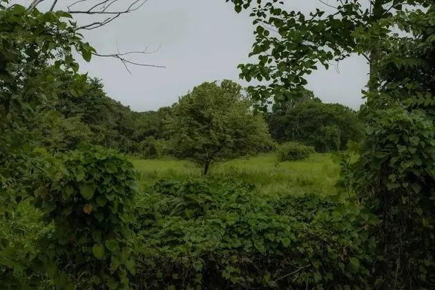 Kır Evi, Birden Çok Yatak
