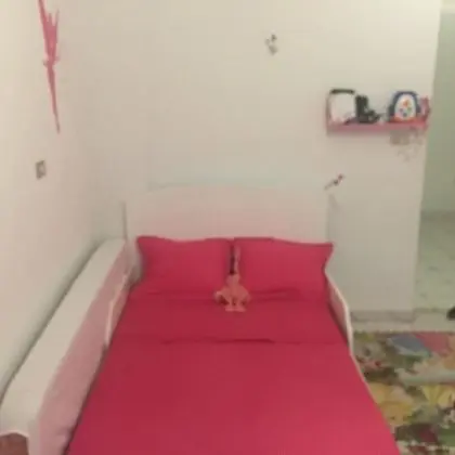 Deluxe Apart Daire, Birden Çok Yatak, Sigara İçilmez