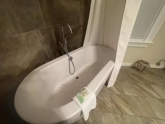 Ev