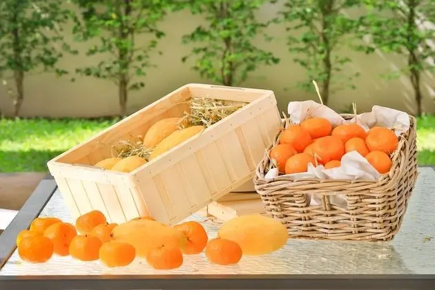 Villa, 3 Yatak Odası, Kişiye Özel Havuzlu