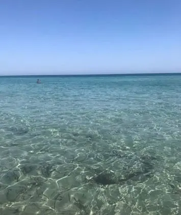 Ev, 1 Yatak Odası, Buzdolabı