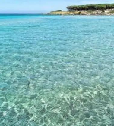 Ev, 1 Yatak Odası, Buzdolabı