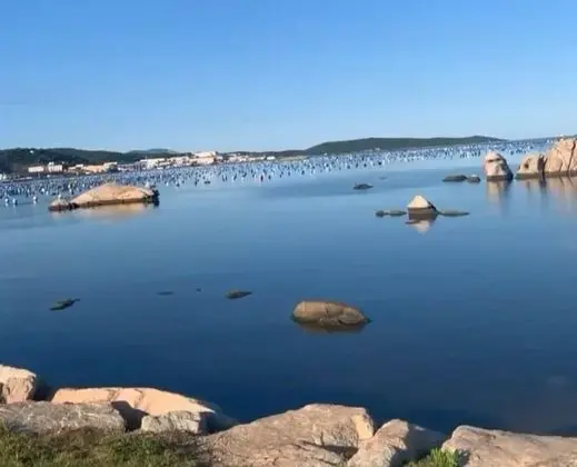 Ev, 1 Yatak Odası, Buzdolabı