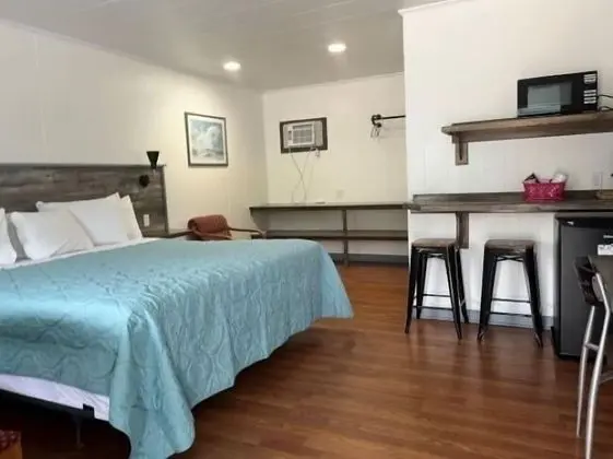 Classic Room, 1 King Bed No Pets
