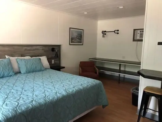 Classic Room, 1 King Bed No Pets