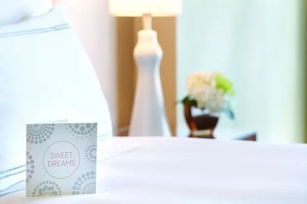 Deluxe Oda, 1 En Büyük (King) Boy Yatak, Şehir Manzaralı