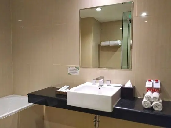 Grand Oda, Şehir Manzaralı (Deluxe Twin)