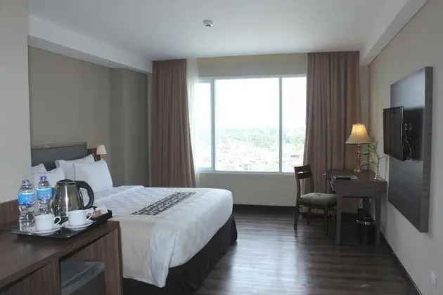 Deluxe Tek Büyük Yataklı Oda