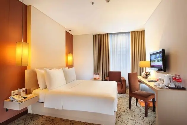 Deluxe Tek Büyük Yataklı Oda
