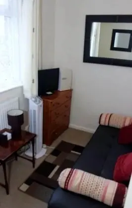 Comfort Tek Büyük Yataklı Oda, 1 Çift Kişilik Yatak