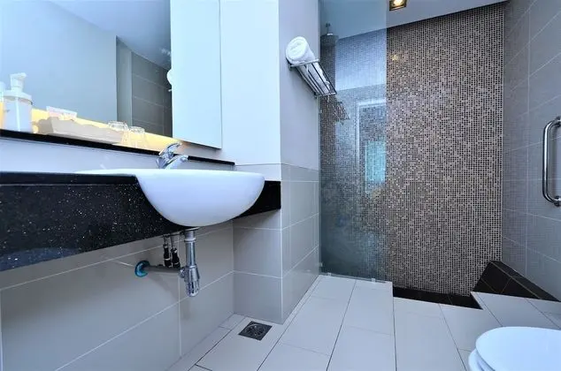Deluxe Stüdyo Süit, 1 Yatak Odası, Şehir Manzaralı