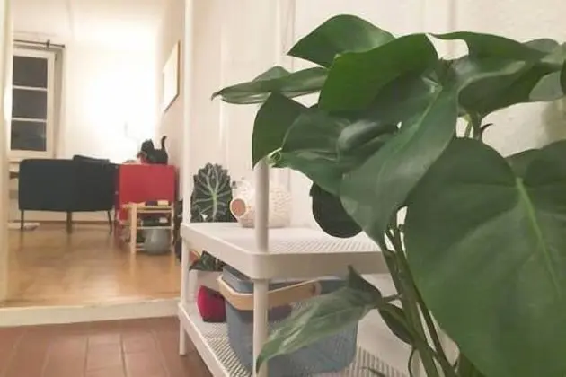 Apart Daire, Şehir Manzaralı
