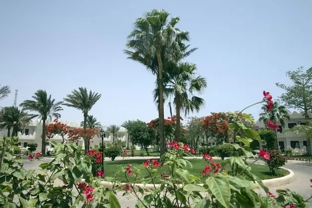 Garden Side Triple Room