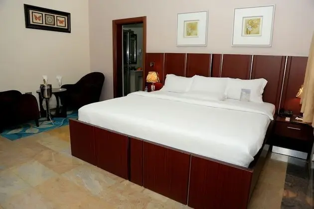 Deluxe Oda, 1 Çift Kişilik Yatak, Şehir Manzaralı
