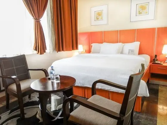 Deluxe Oda, 1 Çift Kişilik Yatak, Şehir Manzaralı