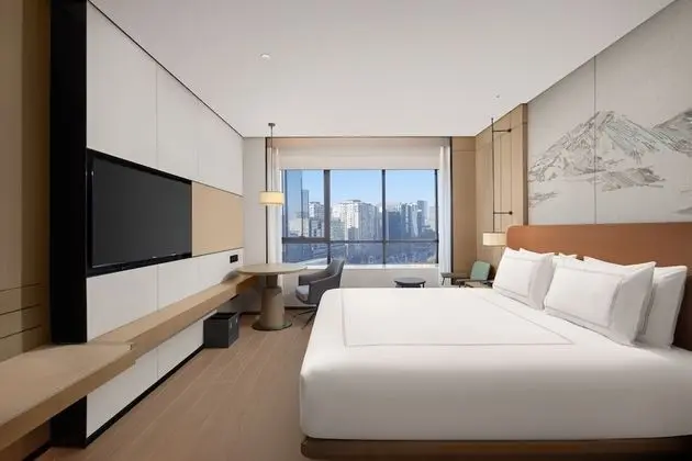 Premier with 1 King-size Bed, City & Garden View