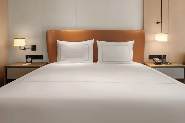 Premier with 1 King-size Bed, City & Garden View