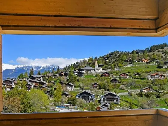 Ev