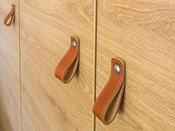 Ev