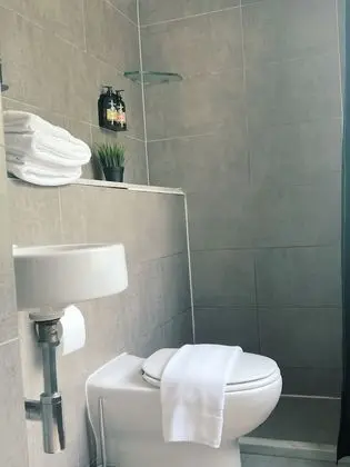 Standard Üç Kişilik Oda, 1 Yatak Odası (Tribunk)