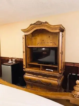 Televizyon