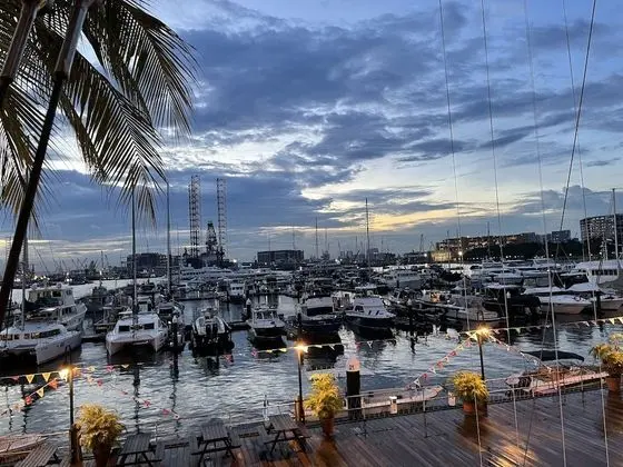 Sunrise Cruise - 4 Hours(10am to 2pm)