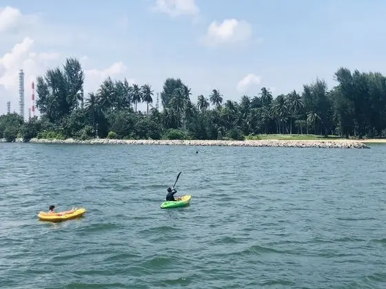 Sunrise Cruise - 4 Hours(10am to 2pm)