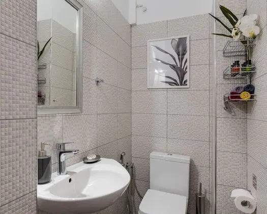 Business Apart Daire, 2 Yatak Odası, Şehir Manzaralı