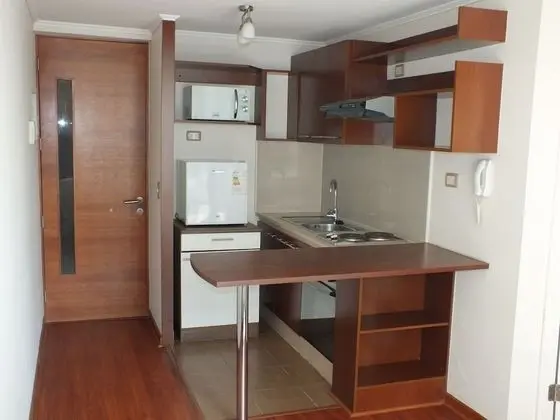 Apart Daire, 1 Yatak Odası (Tarapaca, 1331)