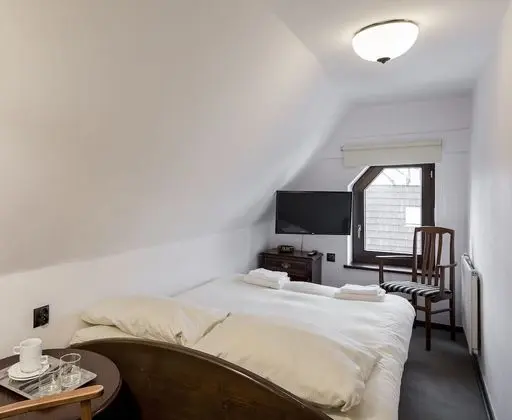 Basic Tek Kişilik Oda, 1 Çift Kişilik Yatak