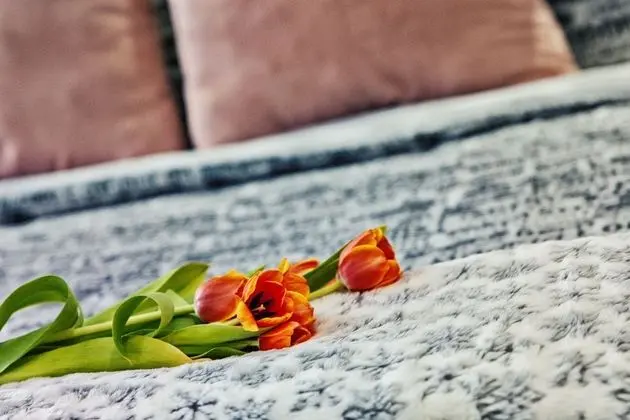 Comfort Stüdyo, Özel Banyo