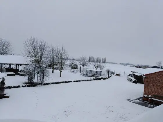 Family Oda, 2 Yatak Odası (De Graanzolder)