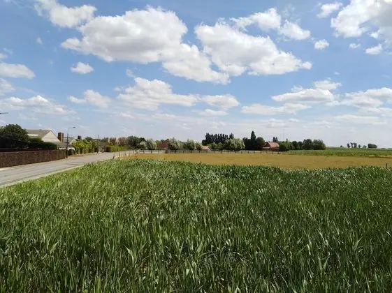 Family Oda, 2 Yatak Odası (De Hooizolder)