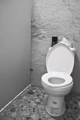 Ortak Ranzalı Oda, Ortak Banyo (MixDorm, available for 8 people)
