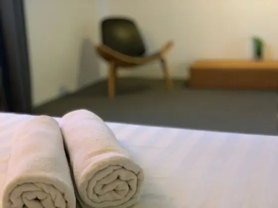 Premier İki Ayrı Yataklı Oda