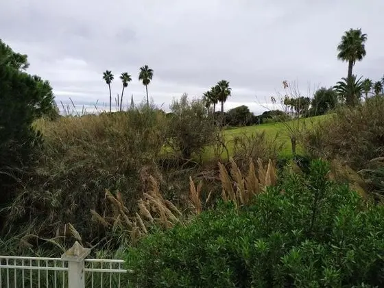 Traditional Apart Daire, 3 Yatak Odası, Balkon