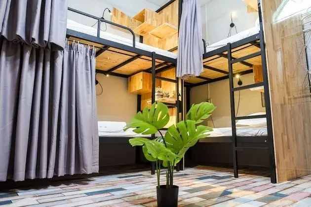 Ortak Ranzalı Oda, Sadece kadınlar için (6 Beds)