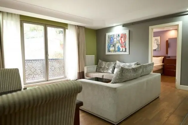 1 + 1 Apartment Standard Double Room