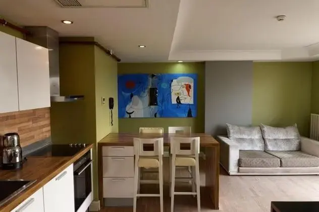 1 + 1 Apartment Standard Double Room