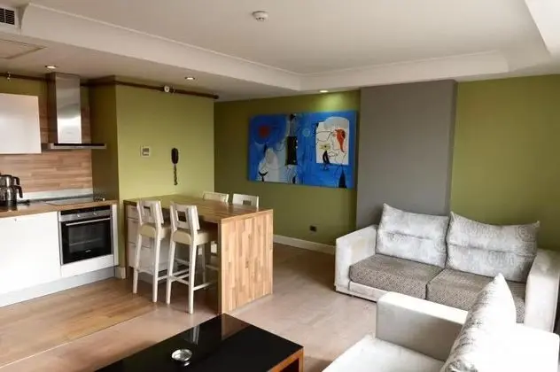 1 + 1 Apartment Standard Double Room