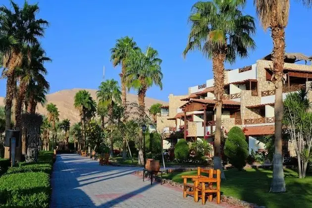 Deluxe Oda, Deniz Manzaralı