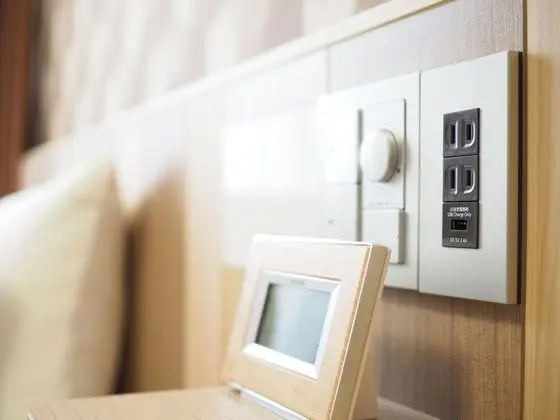 Deluxe Tek Büyük Yataklı Oda, Sigara İçilmez