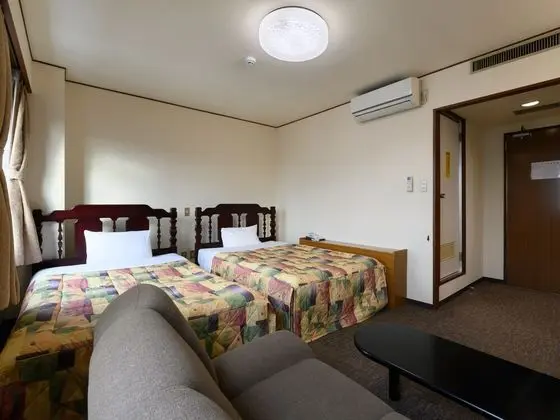Deluxe İki Ayrı Yataklı Oda, Sigara İçilebilir