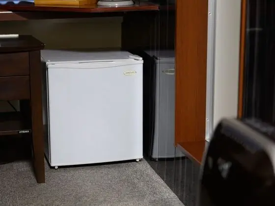 Deluxe Tek Kişilik Oda, Sigara İçilebilir