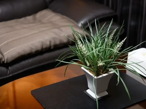 Deluxe Tek Kişilik Oda, Sigara İçilebilir