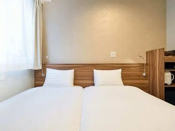 Deluxe İki Ayrı Yataklı Oda, Sigara İçilmez