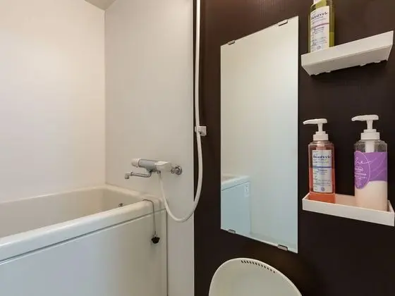 Traditional Üç Kişilik Oda, Sigara İçilmez, Ortak Banyo