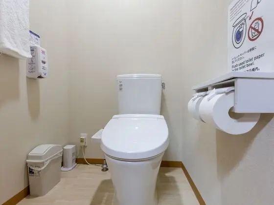Traditional Üç Kişilik Oda, Sigara İçilmez, Ortak Banyo
